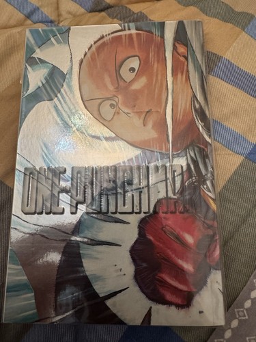 One punch man variant - 1, fx