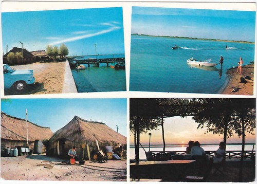 Bibione pineda venezia il - bibione,