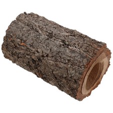  Rettile Caverna Leopardo Geco