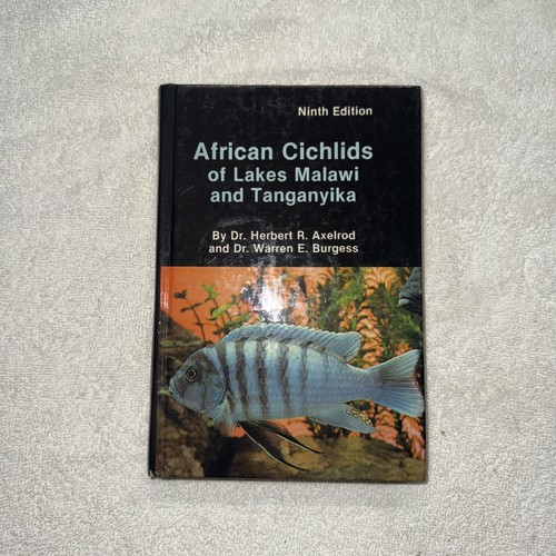 African cichlids lake - cichlids,