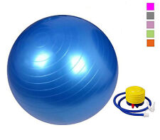 Palla Fitness 65cm Yoga Ginnastica Pilates Riabilitazione Antiscoppio Con Pompa