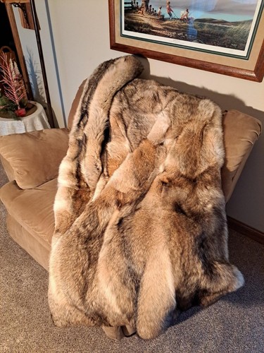 Coperta vera - coperta/coperta,