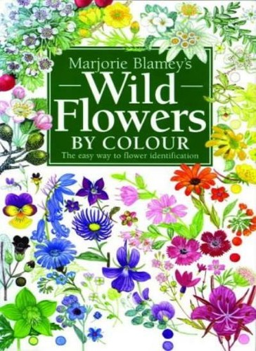 Wild flowers colour the - wild, by