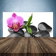 Parete posteriore cucina in