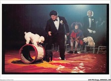 AHVP5-0457 - CIRCO - Circo Darix Togni - I Barboncini - 1990