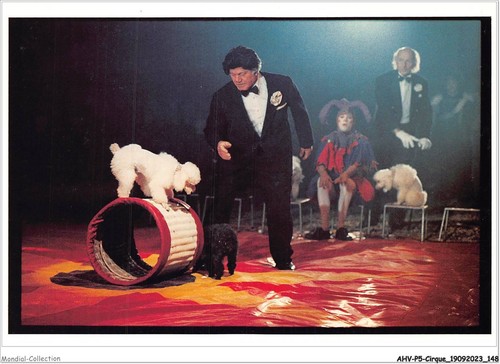 Ahvp5 0457 circo - circo,