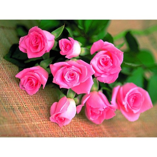 Cialda ostia fiori rose - in,