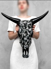 Teschio Di Mucca Vero