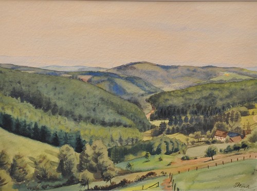 Ampio paesaggio boscoso con