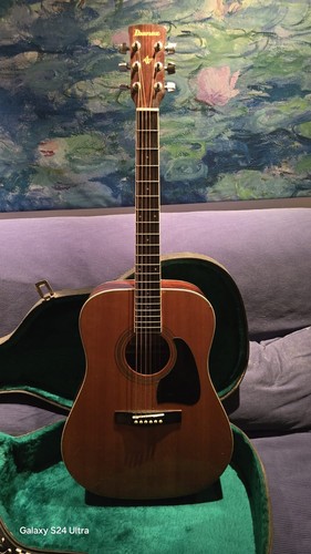 Chitarra acustica usata ibanez - acustica,