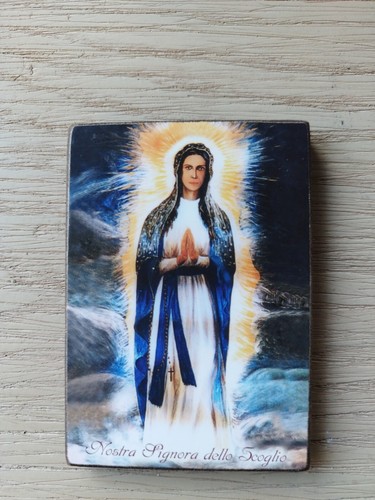 Madonna dello scoglio - madonna,