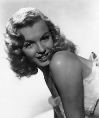 Marilyn monroe foto - marilyn,