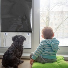  Protezione Papà Per