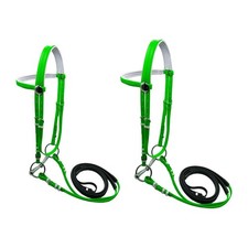 Briglia per Cavallo con