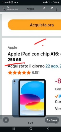 Ipad 256gb - 11,