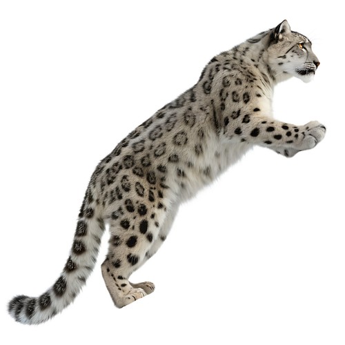 Adesivi leopardo delle nevi - leopardo,