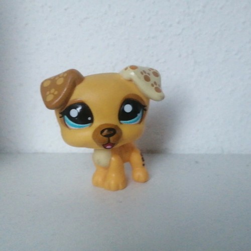 Littlest petshop lps - petshop,