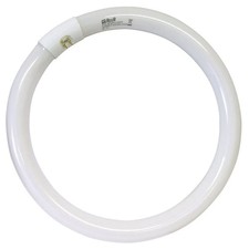 Neon Fluorescente Circolare G10Q LUCE FREDDA 6500K - 22W - 1200 Lumen Cm. 22