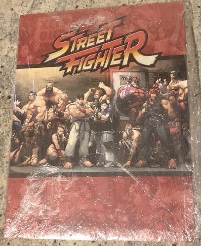 Street fighter poster - fighter,