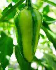 peperoncino FISH PEPPER, 25