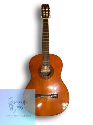 Chitarra acustica suzuki - chitarra,