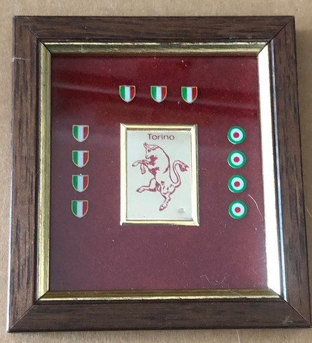 Football torino f c - -, f.c