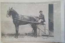 Cartolina gran premio trotto - cartolina,