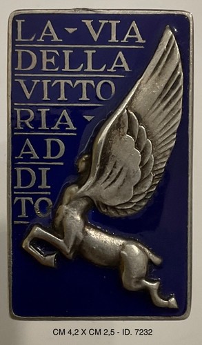 Regia aeronautica distintivo - regia,