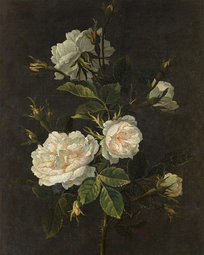 Quadro natura morta - , barocco