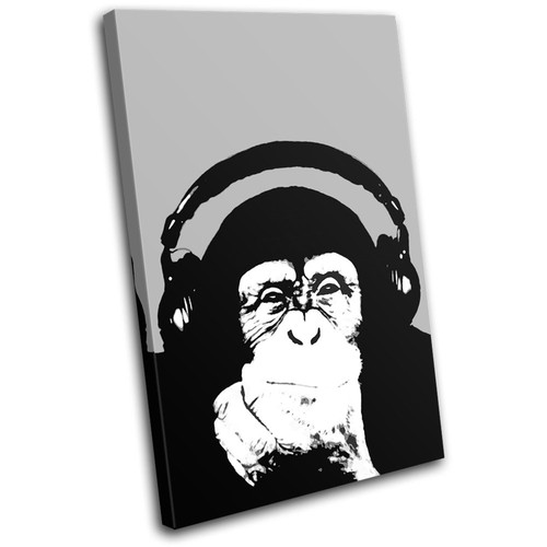 Chimp music monkey - chimp, dj