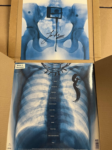 New lorde virgin - x-ray, picture