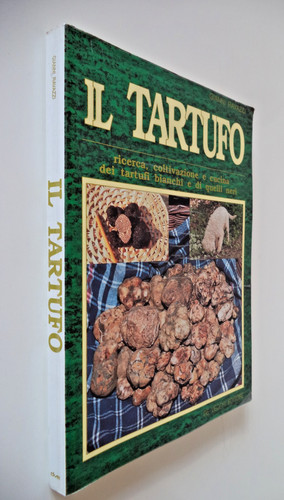 Tartufo ricerca - tartufo,