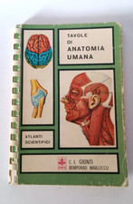 ♥ TAVOLE DI ANATOMIA UMANA