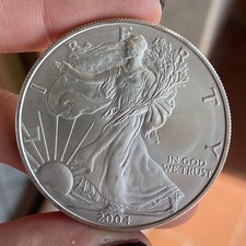 STATI UNITI 1 ONCIA OZ 2004