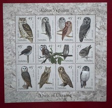 Ukraine 2003 : les chouettes