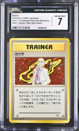 Pokémon palestra giapponese - pokémon,