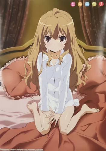 Poster ami taiga - ami, aisaka