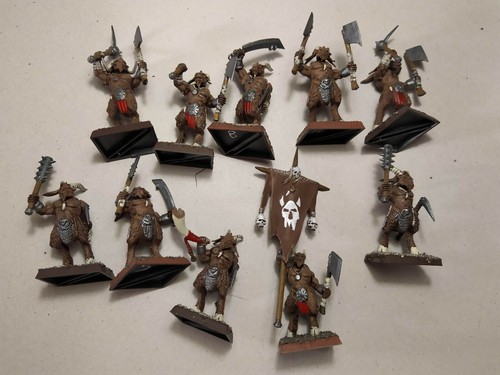 Uomini bestia bestigor - bestia, x8