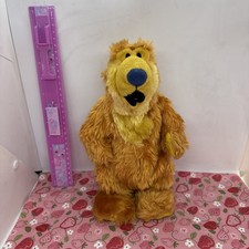 Orso nella Grande Casa Blu