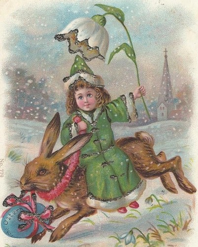 34/329 cartolina coniglietto