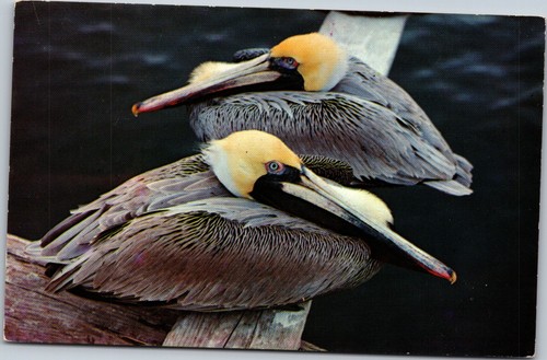 Koppel color cards - cards, cartolina