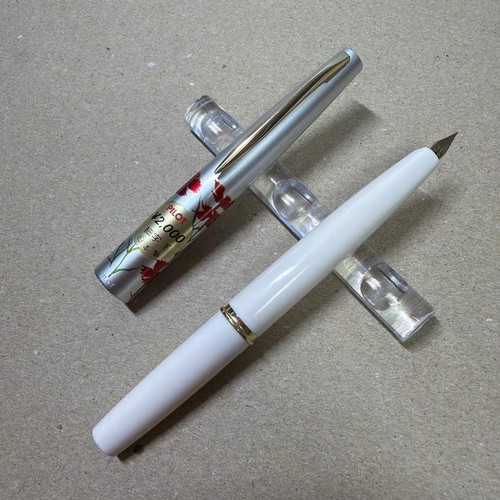 Penna stilografica pilot - penna,