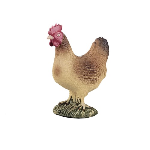 Gallina piedi fattoria - gallina,