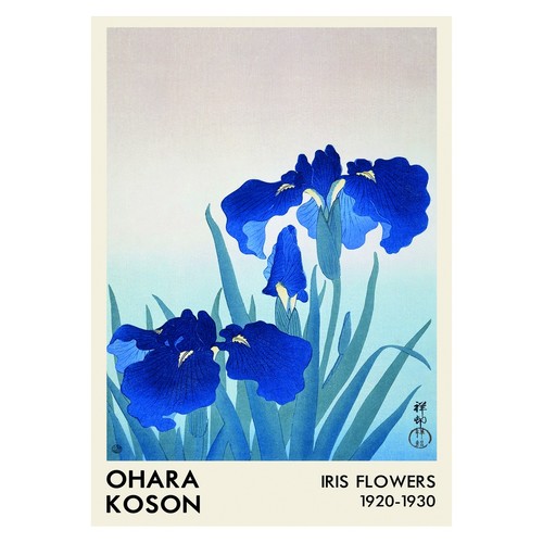 Poster vintage fiori blu iris - vintage,