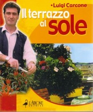 Terrazzo sole ordinato - il,