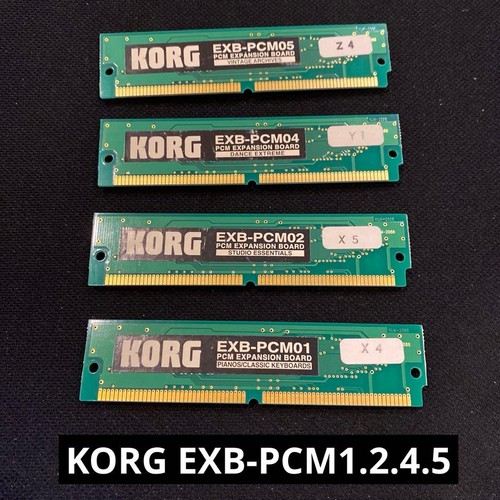 Scheda espansione korg - scheda,