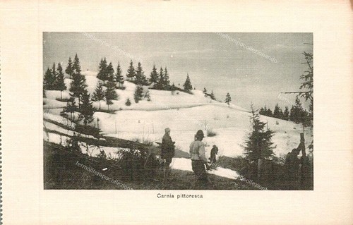 Eg13 cartolina carnia - cartolina,