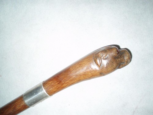 Bastone passeggio cane - bastone,