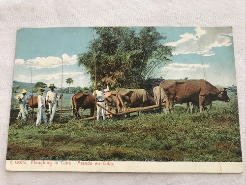 Aratura cuba arando - arando, en