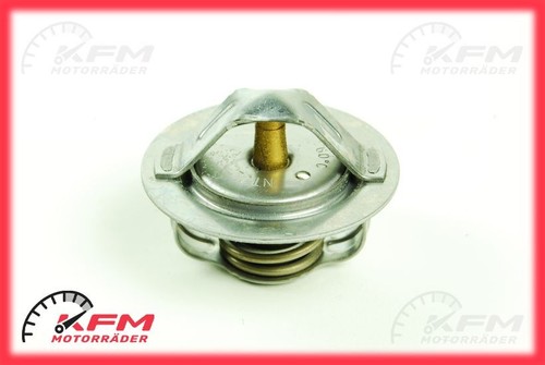 Kawasaki 1000 abs zr1000edfa - abs,